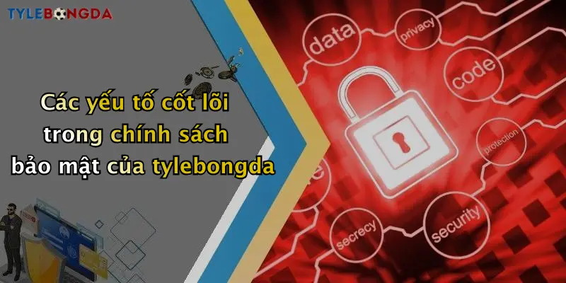 Các yếu tố cốt lõi trong chính sách bảo mật của tylebongda