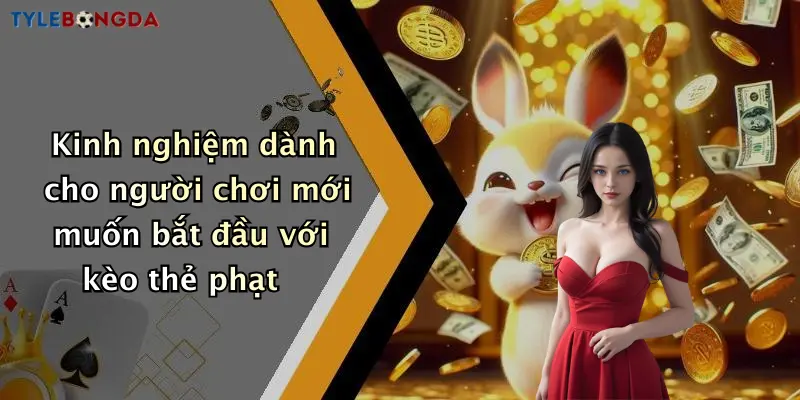 Kinh nghiệm dành cho người chơi mới muốn bắt đầu với kèo thẻ phạt