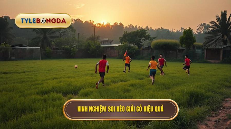 Giải cỏ là gì và tại sao nên nhận định kèo các giải cỏ?