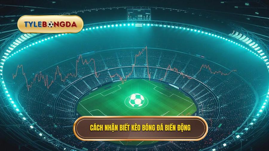 Cách nhận biết kèo bóng đá đêm nay biến động thế nào